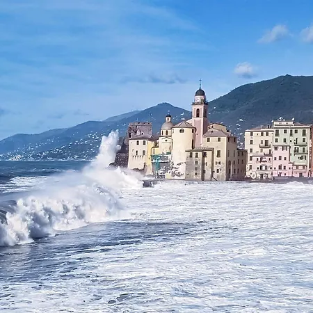 5 Finestre Sul Golfo Apartment Camogli Exterior photo